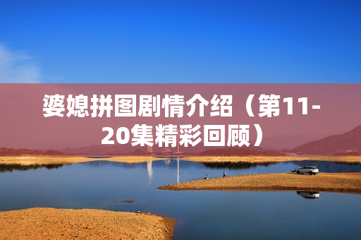 婆媳拼图剧情介绍(第11-20集精彩回顾) 婆媳拼图剧情介绍(第11-20集精彩回顾)