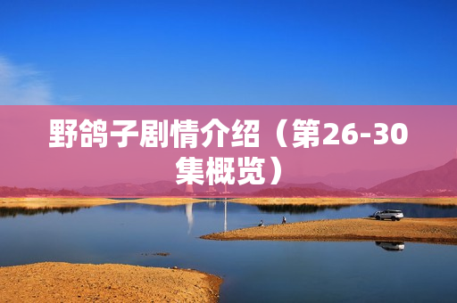 野鸽子剧情介绍（第26-30集概览）