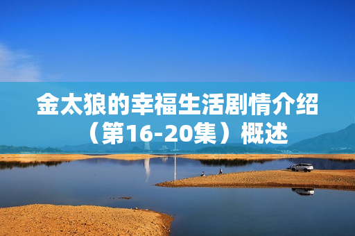 金太狼的幸福生活剧情介绍（第16-20集）概述