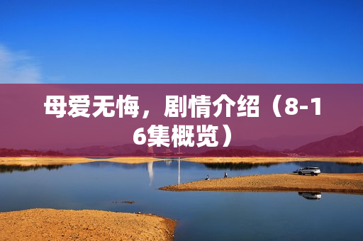 母爱无悔，剧情介绍（8-16集概览）