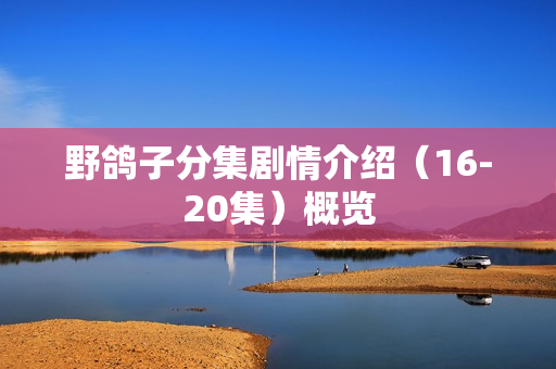 野鸽子分集剧情介绍（16-20集）概览
