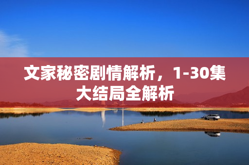 文家秘密剧情解析，1-30集大结局全解析