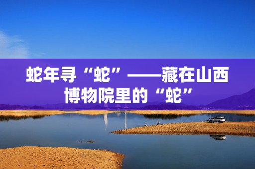 蛇年寻“蛇”——藏在山西博物院里的“蛇”
