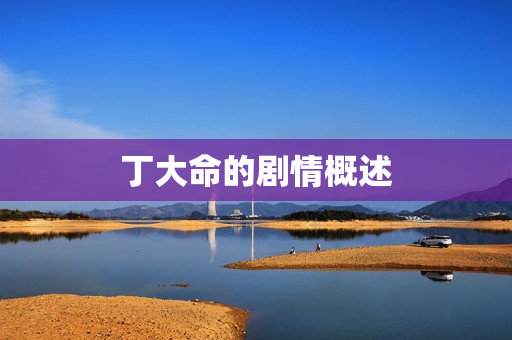 丁大命的剧情概述
