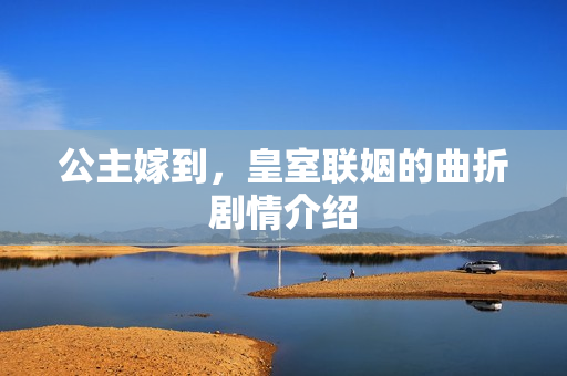 公主嫁到，皇室联姻的曲折剧情介绍