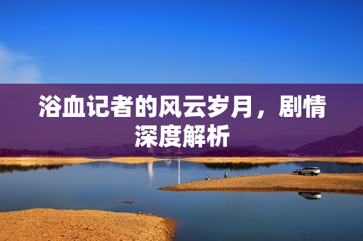 浴血记者的风云岁月，剧情深度解析