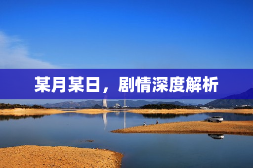 某月某日，剧情深度解析