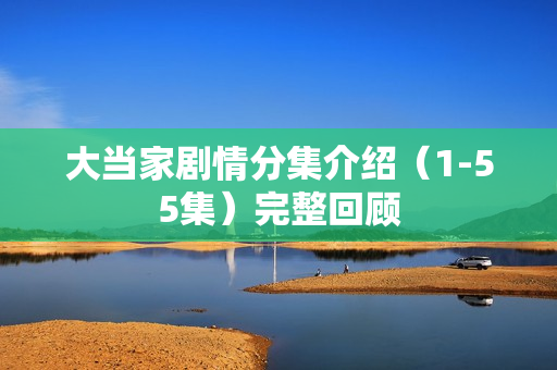 大当家剧情分集介绍（1-55集）完整回顾
