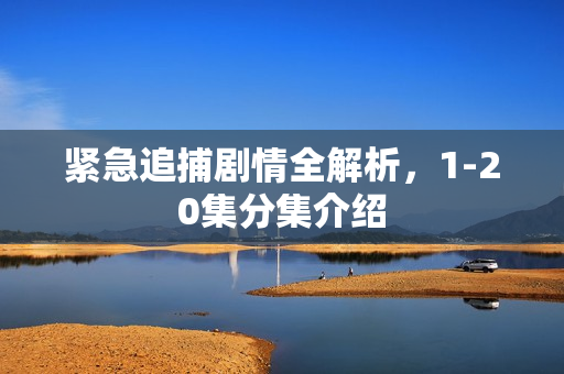 紧急追捕剧情全解析，1-20集分集介绍