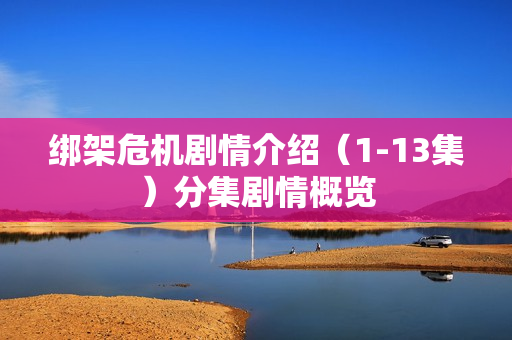 绑架危机剧情介绍（1-13集）分集剧情概览