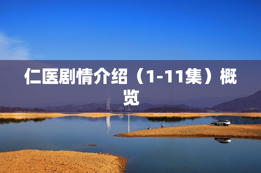 仁医剧情介绍（1-11集）概览