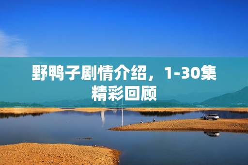 野鸭子剧情介绍，1-30集精彩回顾