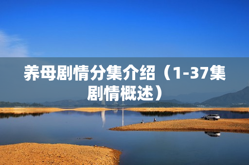 养母剧情分集介绍（1-37集剧情概述）