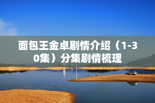 面包王金卓剧情介绍（1-30集）分集剧情梳理