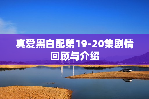 真爱黑白配第19-20集剧情回顾与介绍