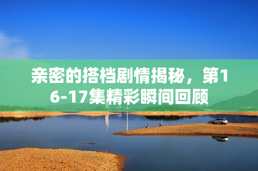 亲密的搭档剧情揭秘，第16-17集精彩瞬间回顾