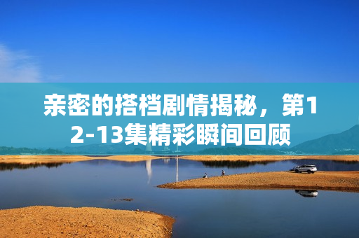 亲密的搭档剧情揭秘，第12-13集精彩瞬间回顾