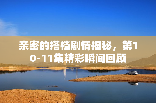 亲密的搭档剧情揭秘，第10-11集精彩瞬间回顾