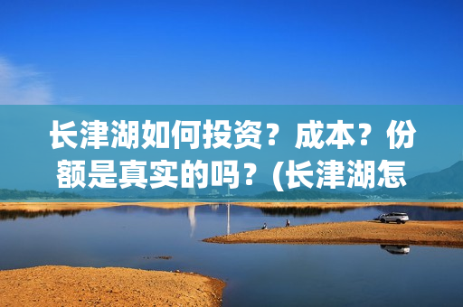 长津湖如何投资？成本？份额是真实的吗？(长津湖怎么参与投资)