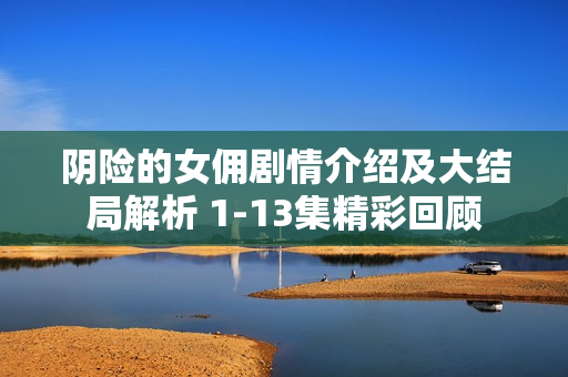 阴险的女佣剧情介绍及大结局解析 1-13集精彩回顾