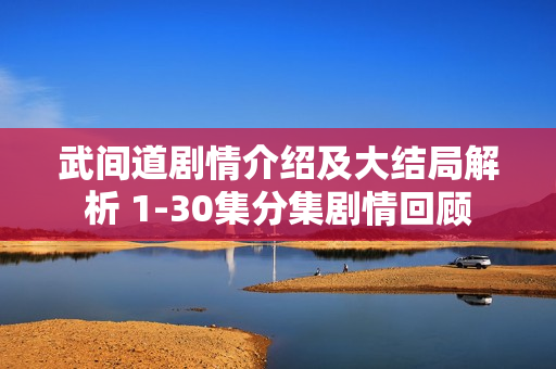 武间道剧情介绍及大结局解析 1-30集分集剧情回顾