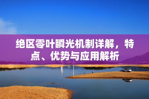 绝区零叶瞬光机制详解，特点、优势与应用解析