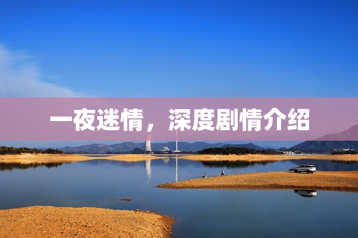 一夜迷情，深度剧情介绍