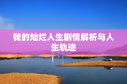 我的灿烂人生剧情解析与人生轨迹