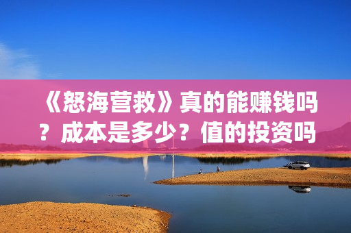 《怒海营救》真的能赚钱吗？成本是多少？值的投资吗？(怒海营救什么时候开机)