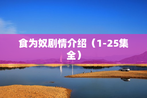 食为奴剧情介绍（1-25集全）