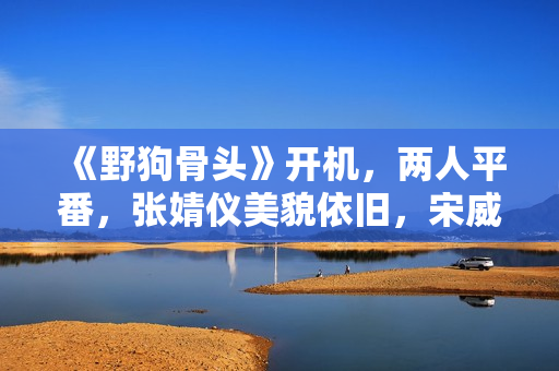 《野狗骨头》开机，两人平番，张婧仪美貌依旧，宋威龙略显沧桑