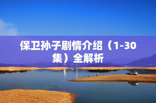 保卫孙子剧情介绍（1-30集）全解析