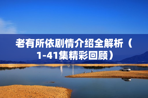 老有所依剧情介绍全解析（1-41集精彩回顾）