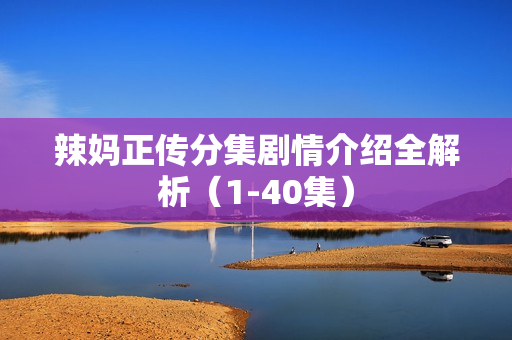 辣妈正传分集剧情介绍全解析（1-40集）