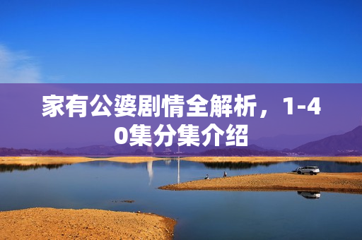 家有公婆剧情全解析，1-40集分集介绍