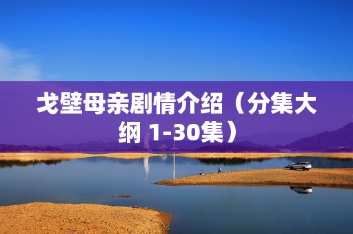 戈壁母亲剧情介绍（分集大纲 1-30集）
