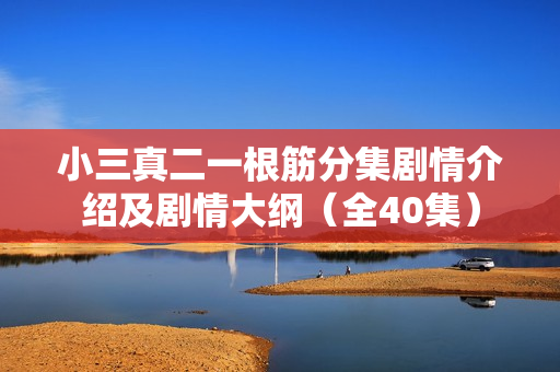 小三真二一根筋分集剧情介绍及剧情大纲(全40集) 小三真二一根筋分集剧情介绍及剧情大纲(全40集)