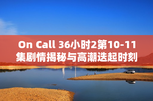 On Call 36小时2第10-11集剧情揭秘与高潮迭起时刻