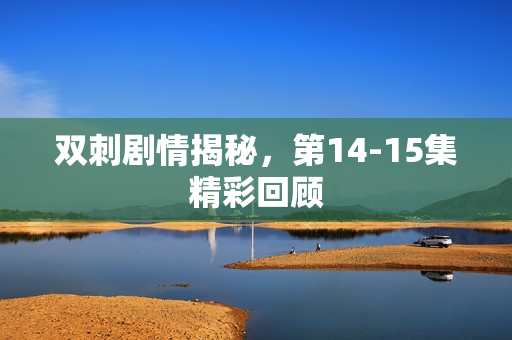 双刺剧情揭秘，第14-15集精彩回顾