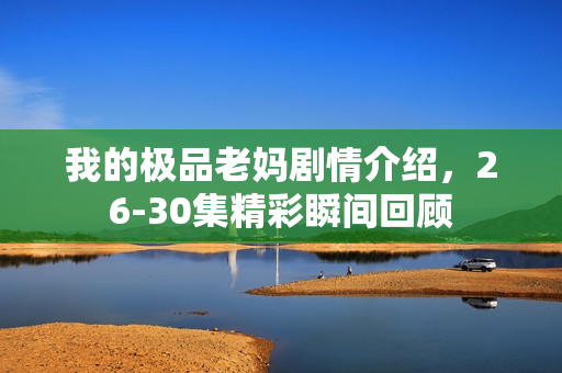 我的极品老妈剧情介绍，26-30集精彩瞬间回顾