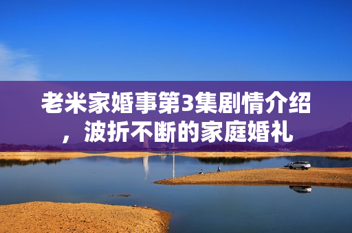 老米家婚事第3集剧情介绍，波折不断的家庭婚礼