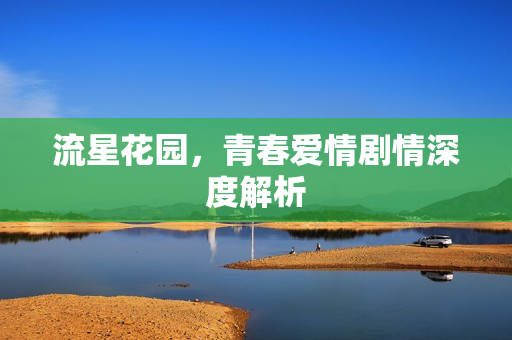 流星花园，青春爱情剧情深度解析