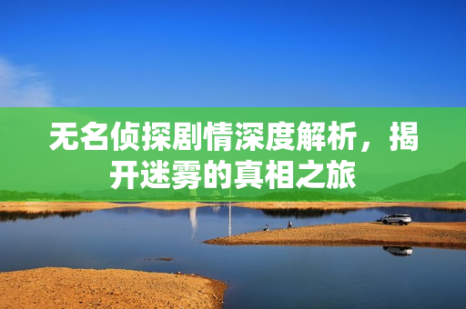 无名侦探剧情深度解析，揭开迷雾的真相之旅