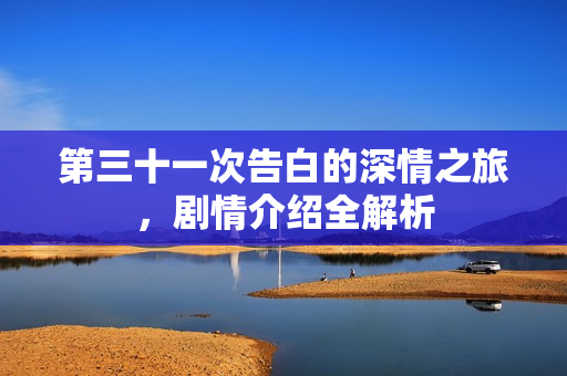 第三十一次告白的深情之旅，剧情介绍全解析