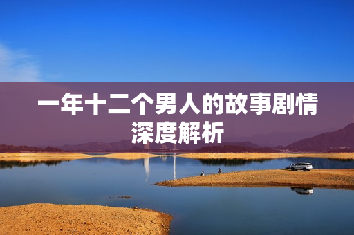 一年十二个男人的故事剧情深度解析