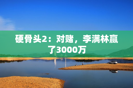 硬骨头2：对赌，李满林赢了3000万