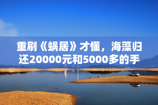 重刷《蜗居》才懂，海藻归还20000元和5000多的手机，是内心的挣扎，委身宋思明，不过是另一种活法