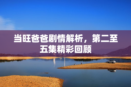 当旺爸爸剧情解析，第二至五集精彩回顾