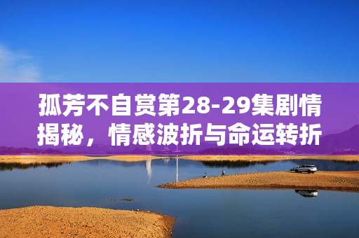 孤芳不自赏第28-29集剧情揭秘，情感波折与命运转折