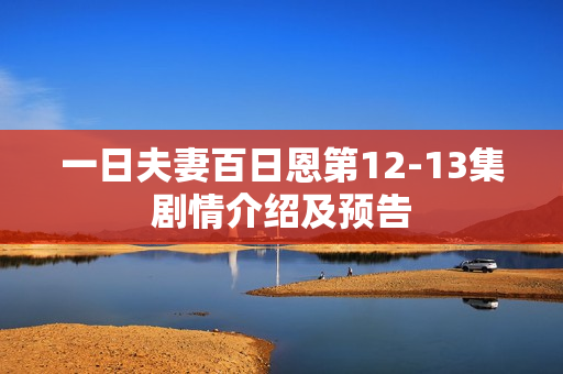 一日夫妻百日恩第12-13集剧情介绍及预告